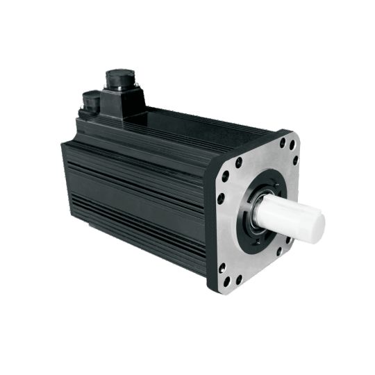 Velik AC servo motor